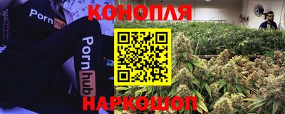 ПСИЛОЦИБИНОВЫЕ ГРИБЫ Донецк